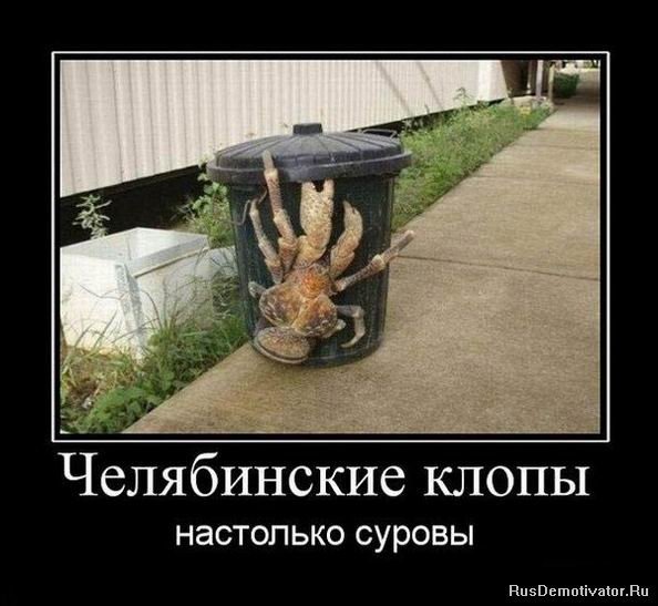 Суровые челябинские демотиваторы