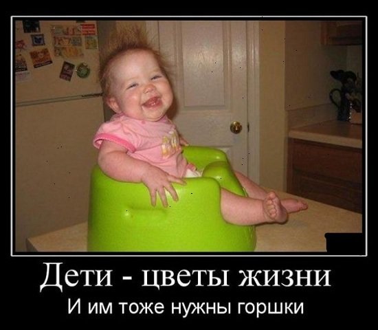 Дети цветы жизни смешные