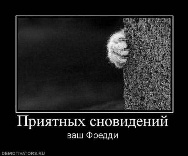 Анекдоты про сон