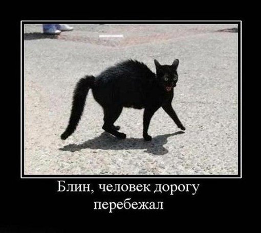 Лелик идиот