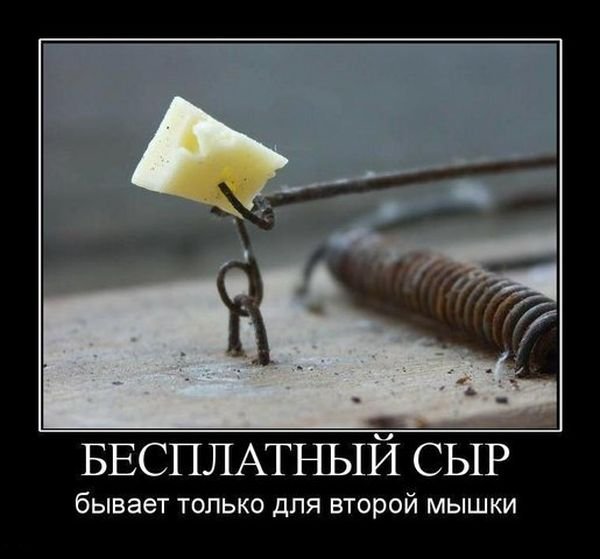 Прикольные демотиваторы