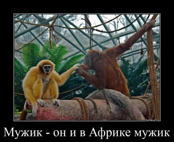 Лучшие демотиваторы про девушек