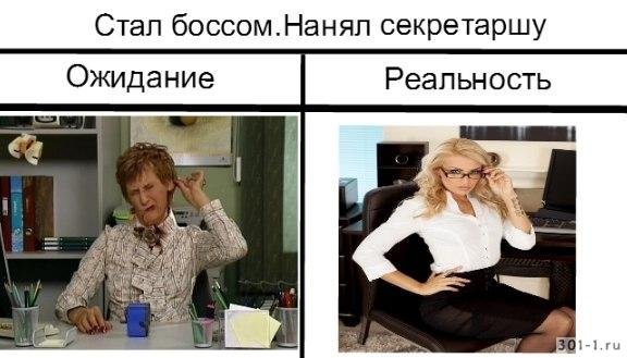 Начальник ожидание и реальность