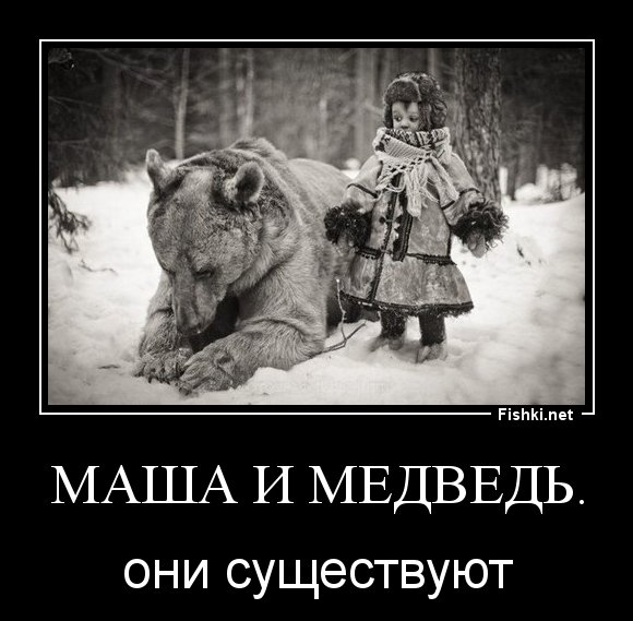 Медведь демотиватор