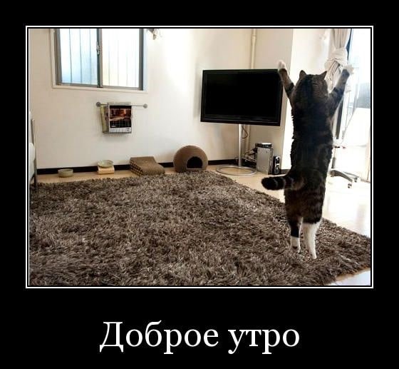 Демотиваторы с добрым утром