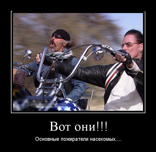 Байкер юмор