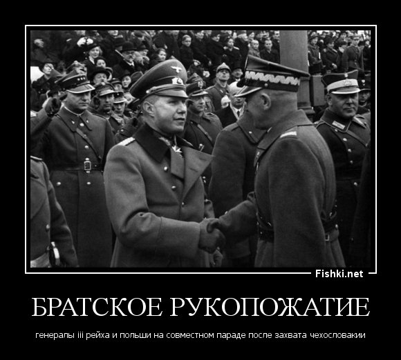 Поляки демотиваторы