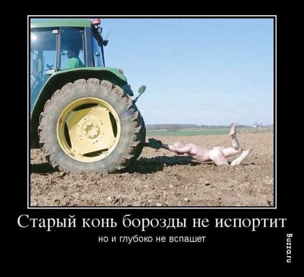 Старый конь борозды не испортит но и глубоко