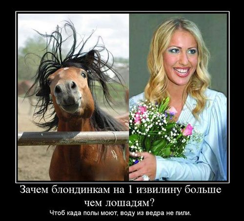 Демотиваторы про блондинок (46 фото)