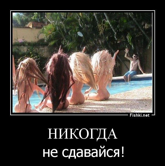 Никогда не сдавайся демотиватор