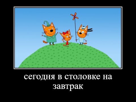 Три кота