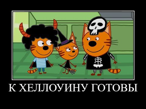 Котики демотиваторы