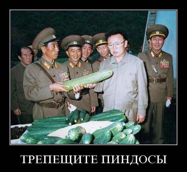 Северная Корея демотиваторы