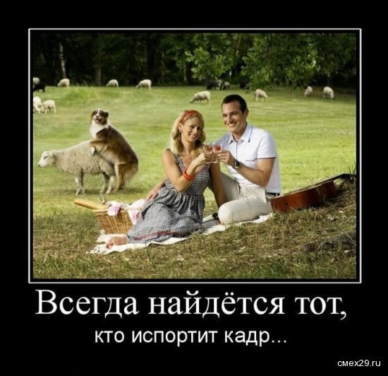 Демотиваторы про отдых на природе