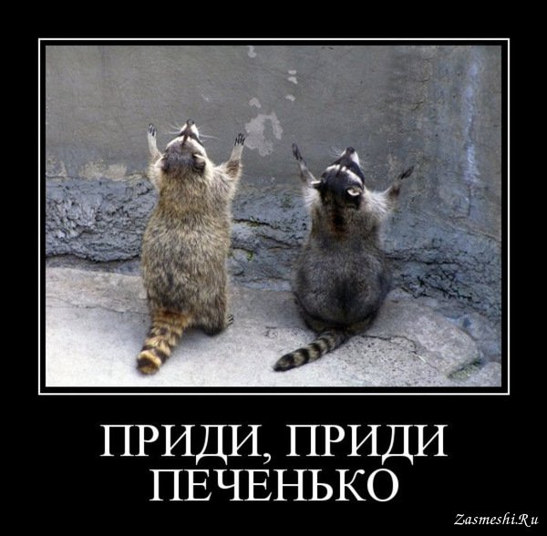 Пятничные демотиваторы