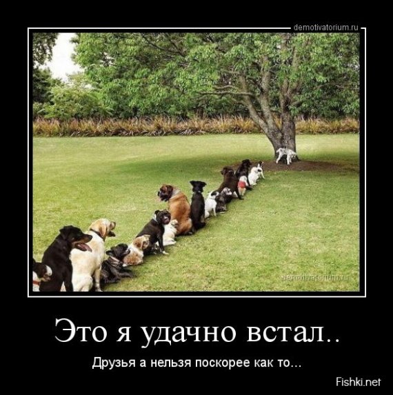 Демотиваторы для взрослых