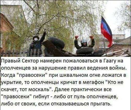 Правый сектор демотиваторы