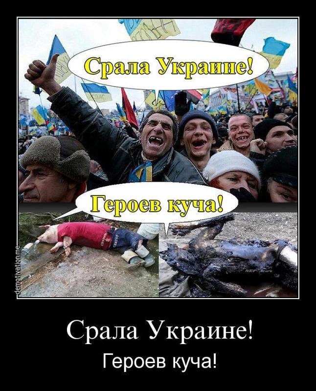 Украина смешные картинки