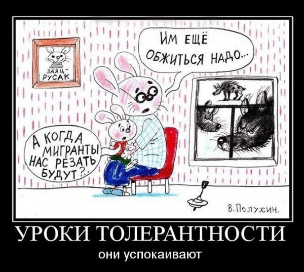 Толерантность демотиваторы