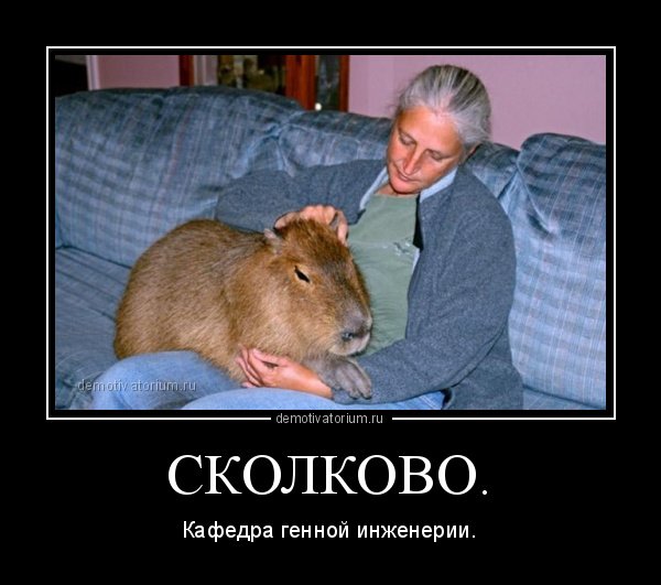 Технологии Сколково демотиваторы