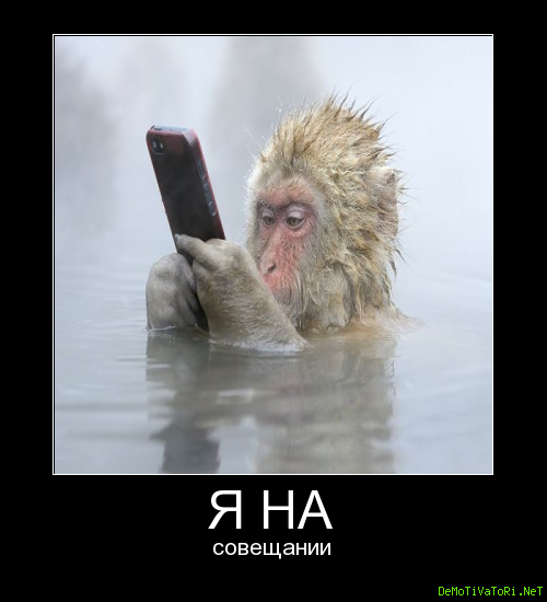 Совещание юмор