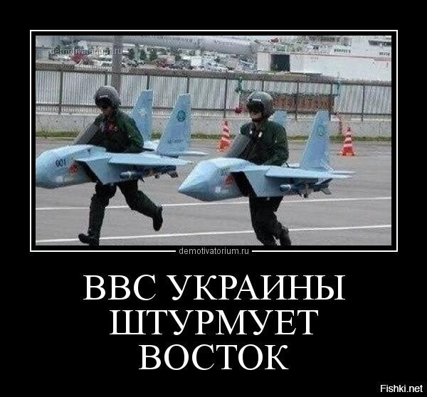 Украинские воины ожидание и реальность