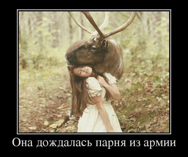 Шутки про украинскую армию