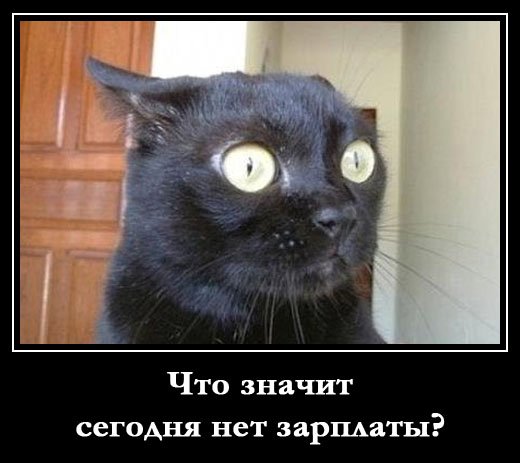 Демотиваторы про зарплату