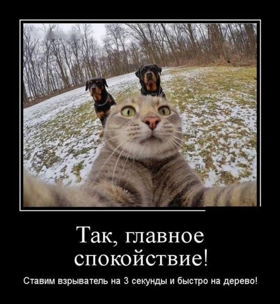 Очень Веселые демотиваторы