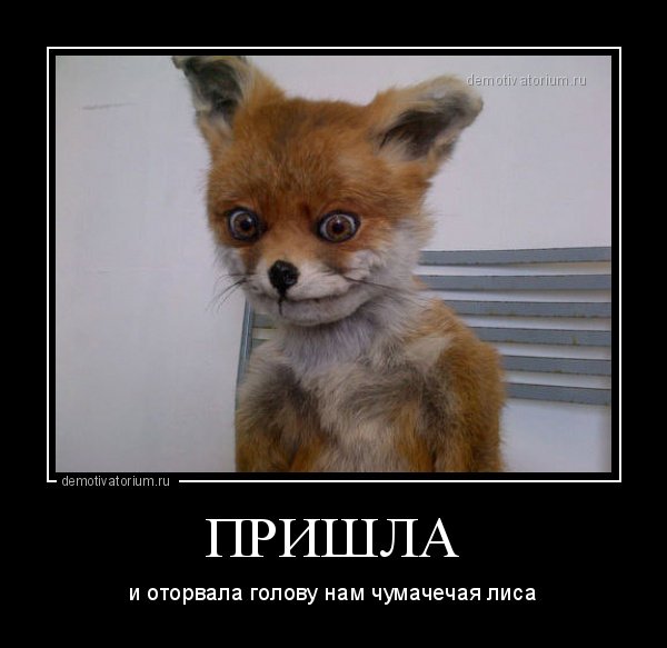Лисенок демотиваторы