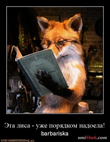 Лиса из демотиваторов