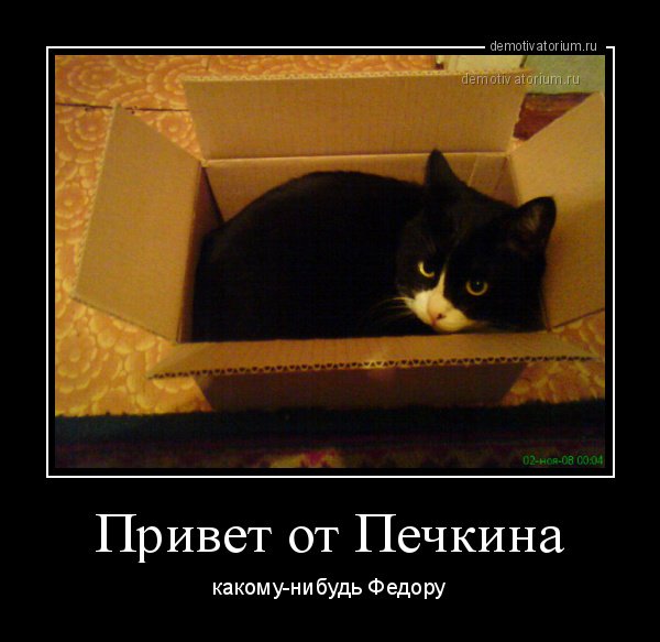 Привет демотиватор