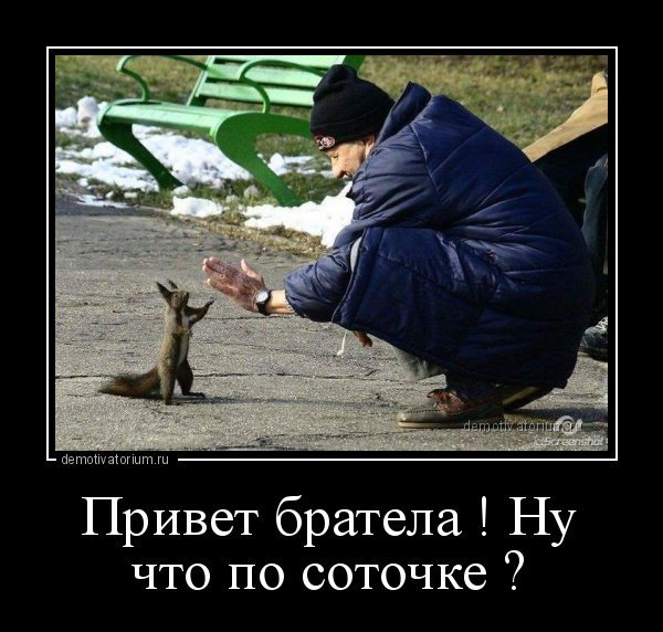 Здравствуйте демотиватор