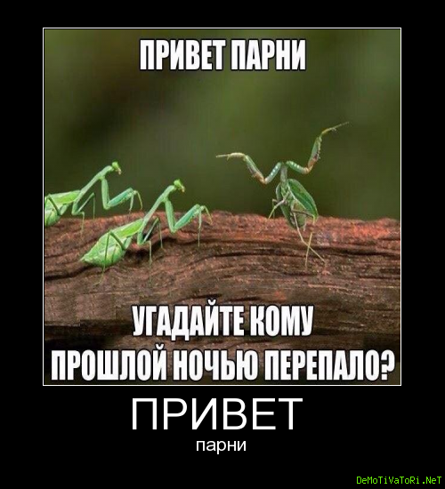Привет мужик