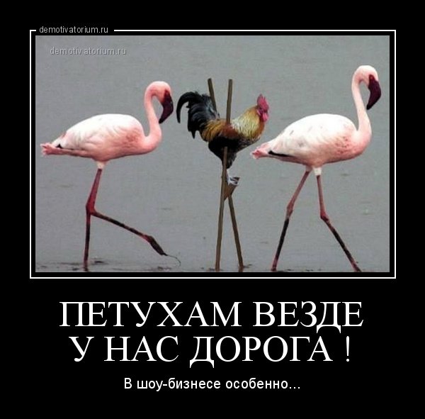 Петушок демотиватор