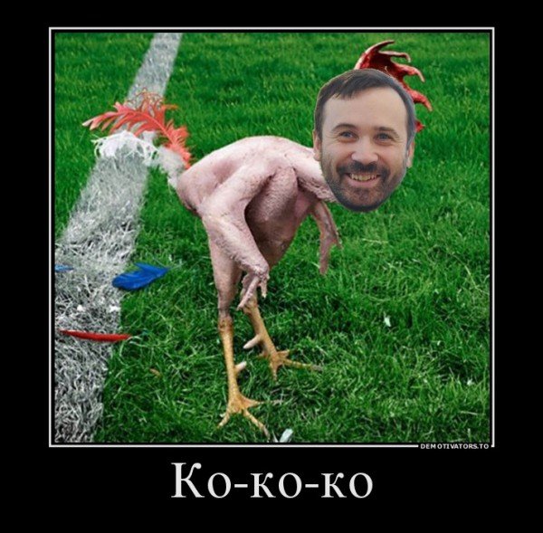 Демотиваторы про петухов