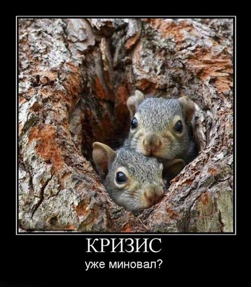 Галерея демотиватор