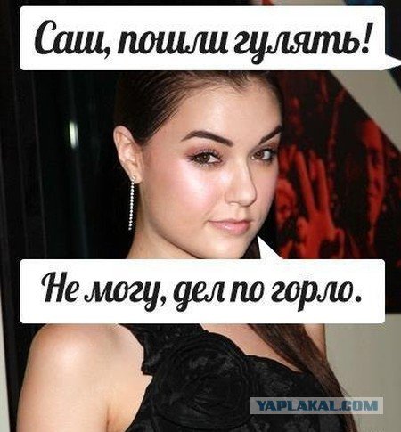 Шутки про Сашу грей