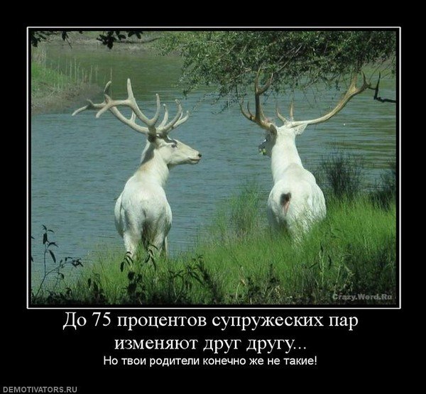 Демотиваторы супружеская неверность