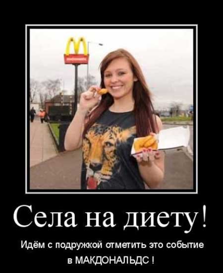 Демотиваторы смешные про диету