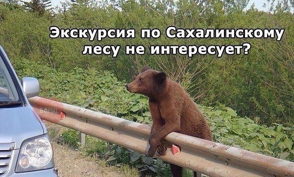 Врешь Бельчонок не уйдешь