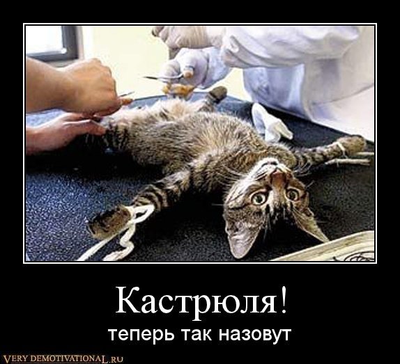 Правильно зачем демотиватор
