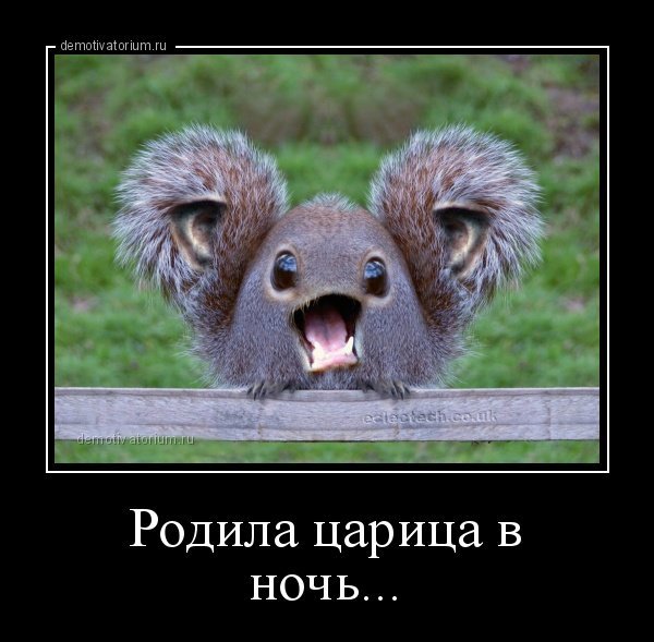 Демотиваторы для поднятия нас