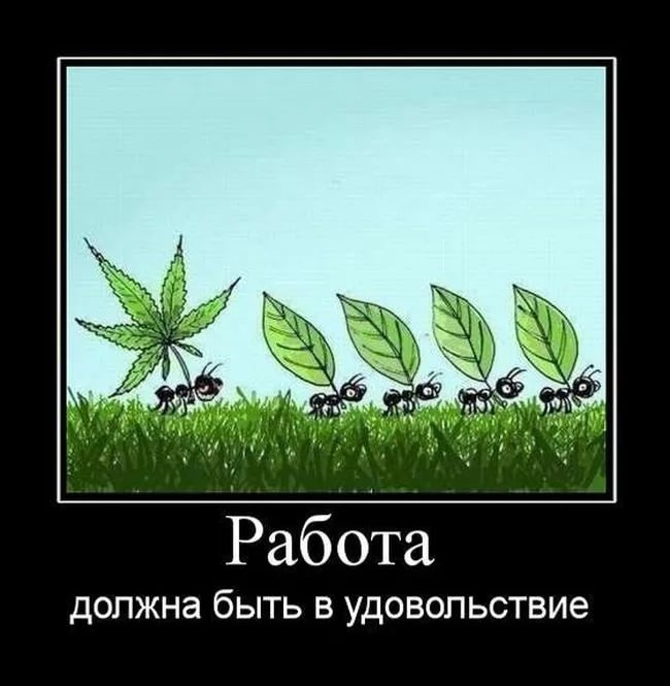 Прикольные фото про марихуану закон казахстана о конопле