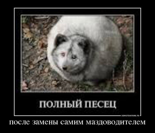 Полный писец