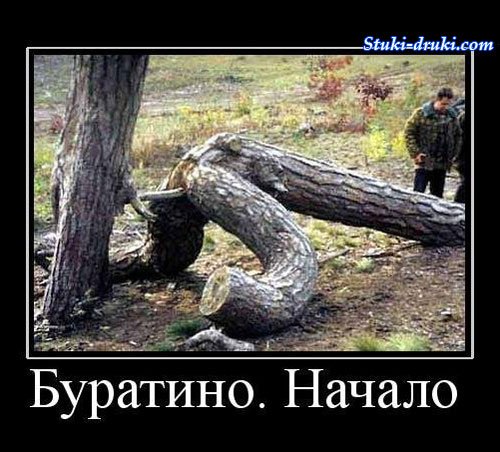 Буратино демотиватор