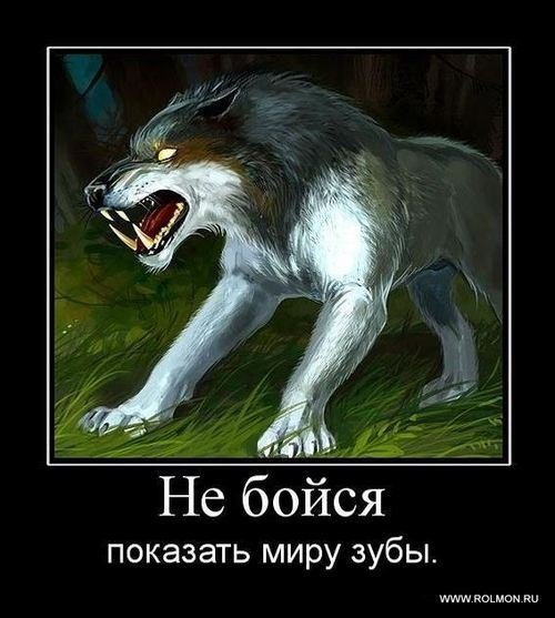 Демотиваторы про Волков