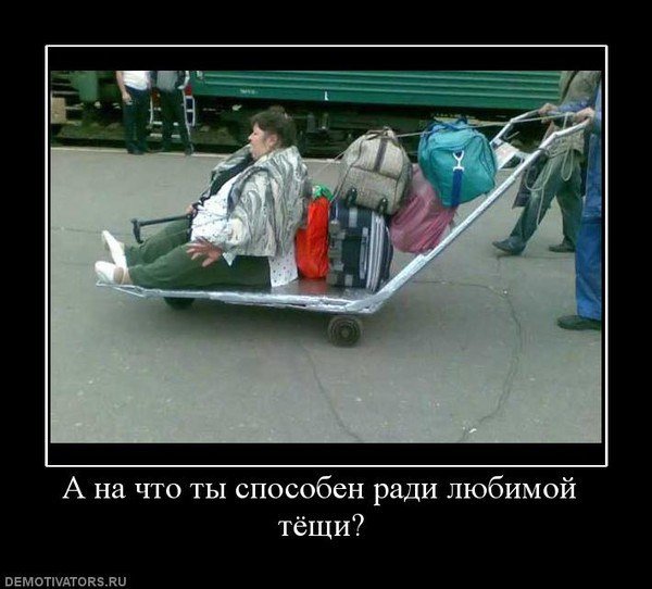 Демотиваторы про тещу