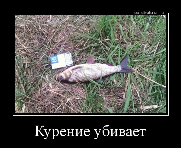 Мемы про курение