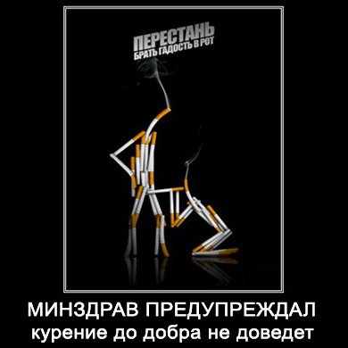 Смешные фразы про курение